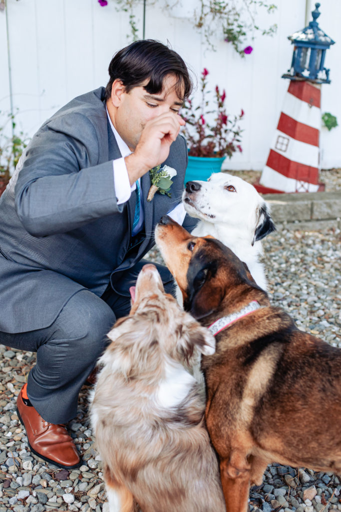 groom with dogs on wedding day