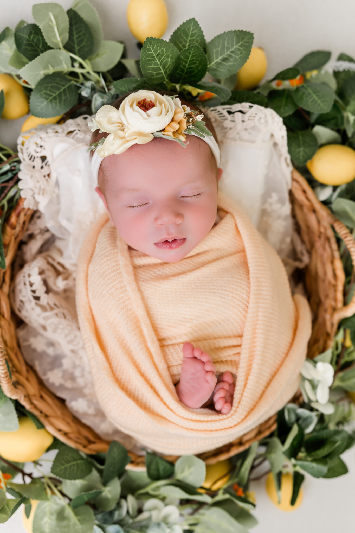 lemon theme newborn photos, lakewood nj newborn photographer