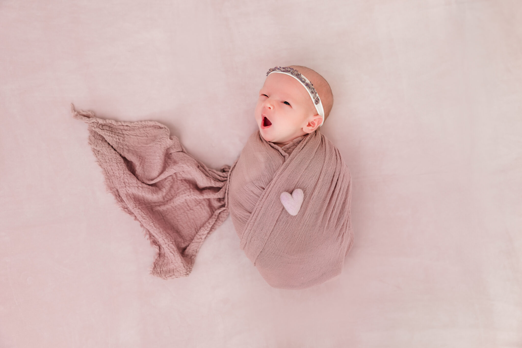 newborn sibling photos