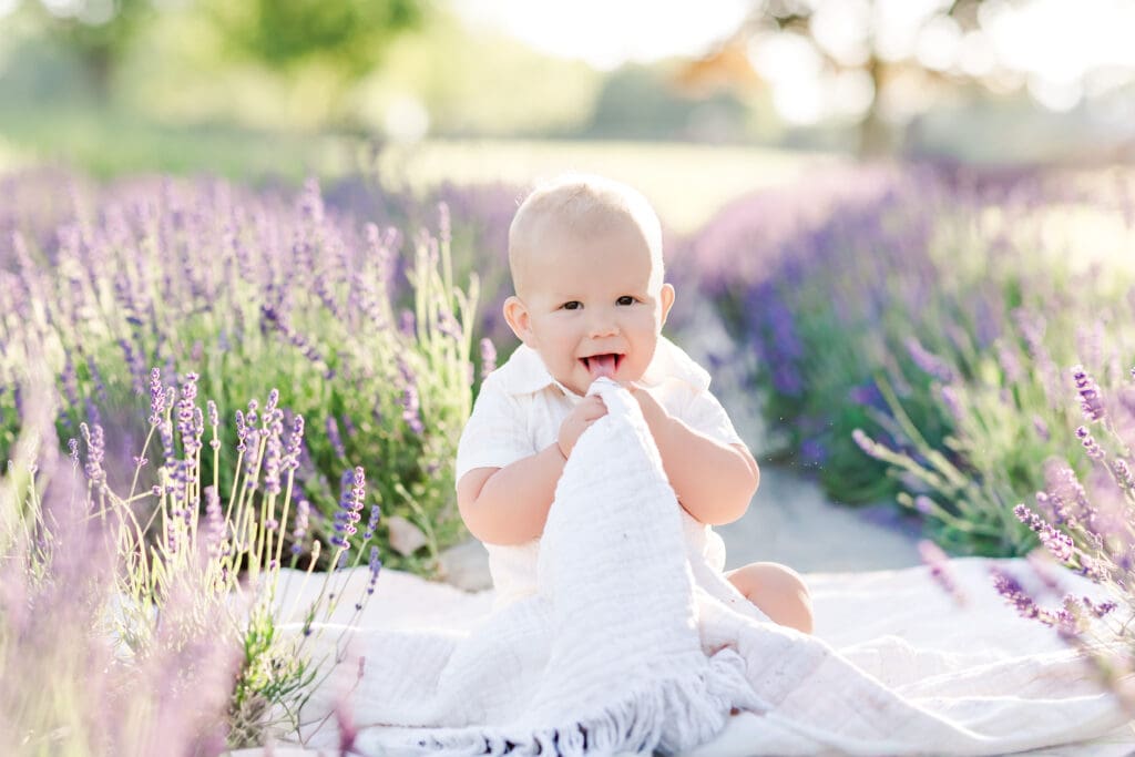 allaire lavender farm
