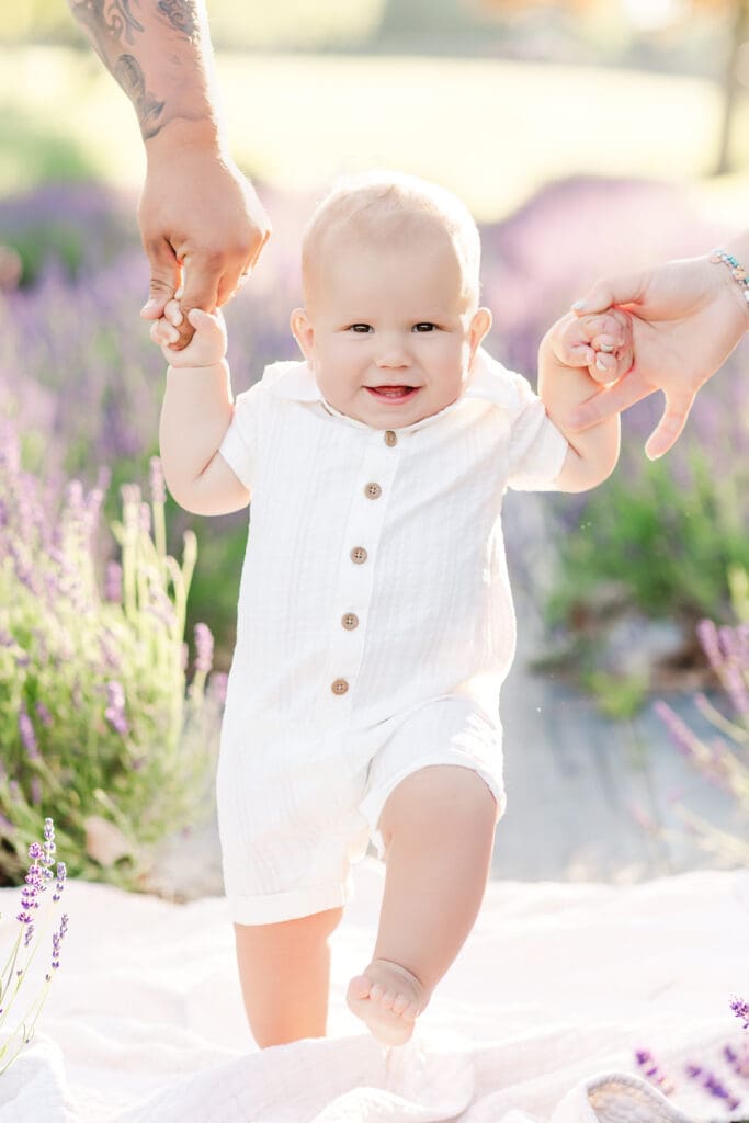 allaire lavender farm