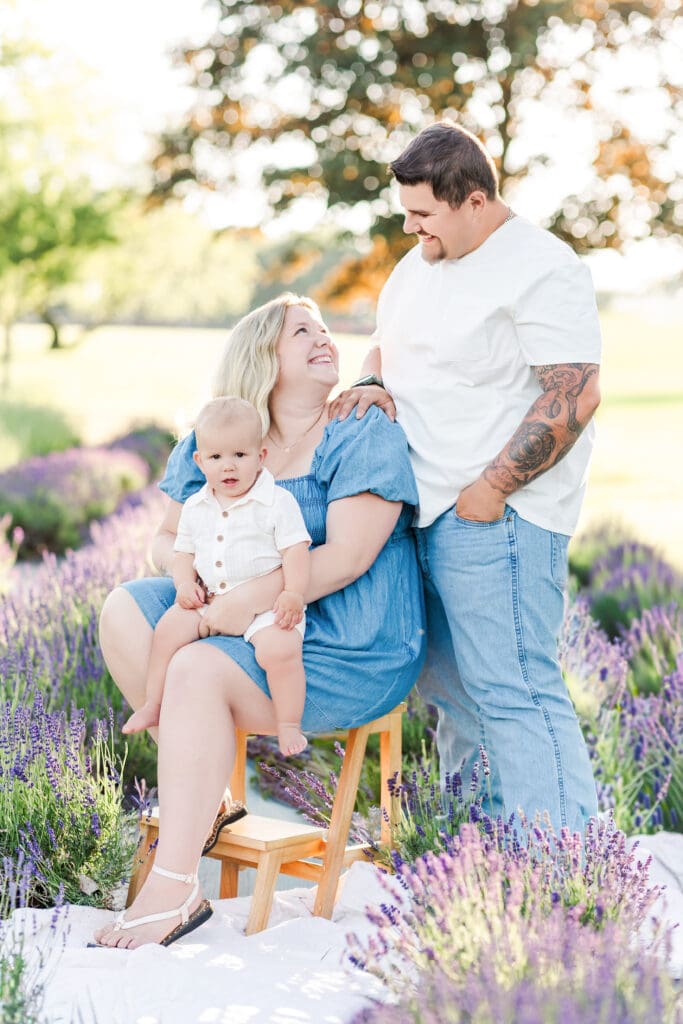 allaire lavender farm